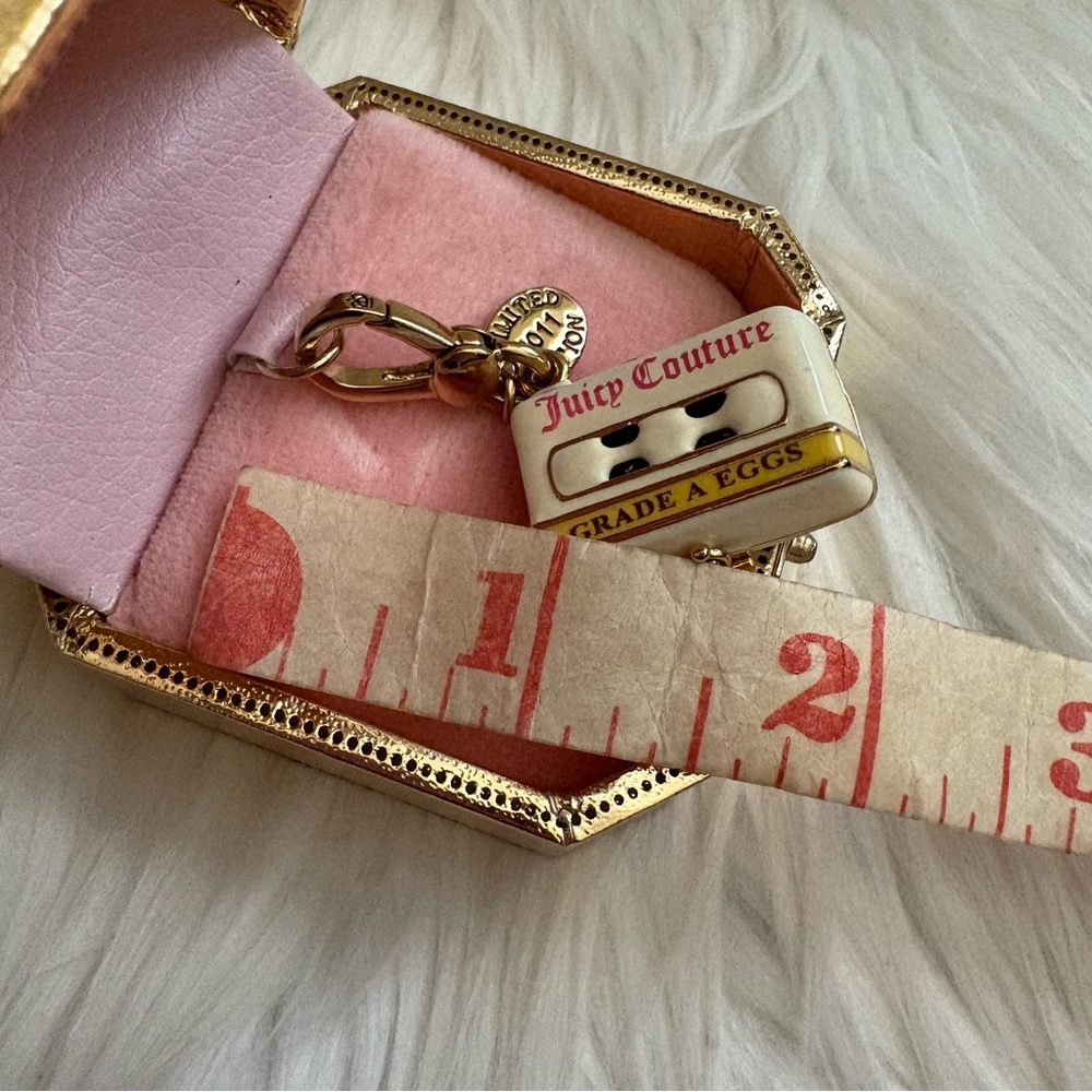 Authentic 2011 Juicy Couture Colorful Easter Egg Carton Charm - Picture 5 of 6